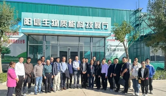 邢立力受邀出席生物质清洁炊事与供暖国际合作论坛4